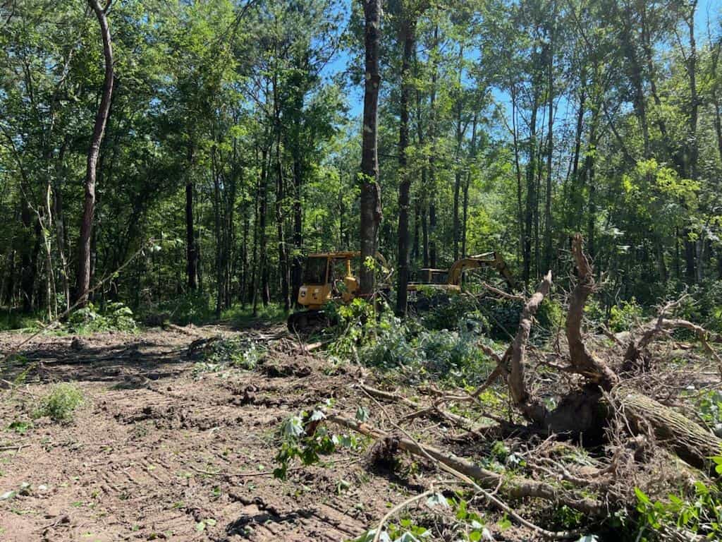 land clearing in Slidell 