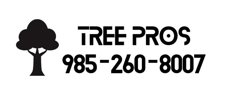 Tree Pros-Tree Services Slidell